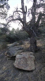 Enlarge photo 267