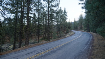 Enlarge photo 268
