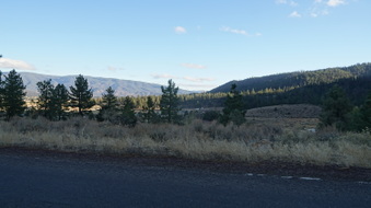 Enlarge photo 273