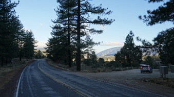 Enlarge photo 274