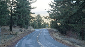 Enlarge photo 275