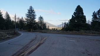 Enlarge photo 283