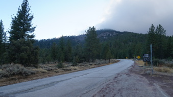 Enlarge photo 290