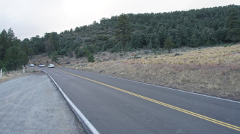 Enlarge photo 294