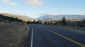 Enlarge photo 296