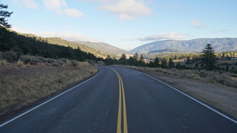 Enlarge photo 299
