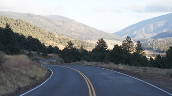 Enlarge photo 297