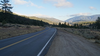 Enlarge photo 301