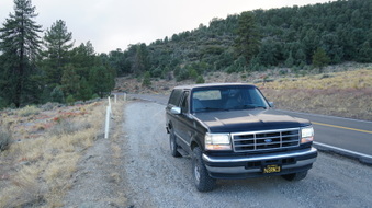 Enlarge photo 309