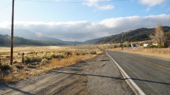 Enlarge photo 311