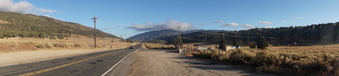 Enlarge photo 313