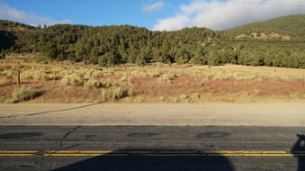Enlarge photo 315