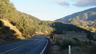 Enlarge photo 325