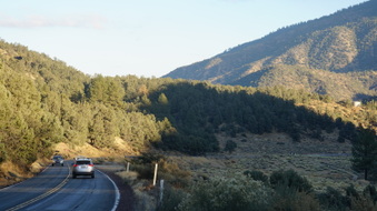 Enlarge photo 328