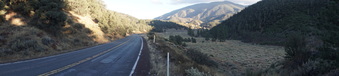 Enlarge photo 327