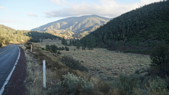 Enlarge photo 329