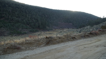 Enlarge photo 333