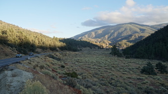 Enlarge photo 339