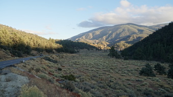 Enlarge photo 337