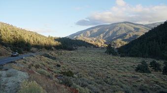 Enlarge photo 338