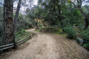 Closed Boy Scout Camp