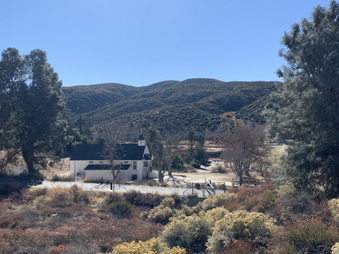 Enlarge photo 35