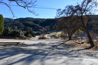Enlarge photo 16
