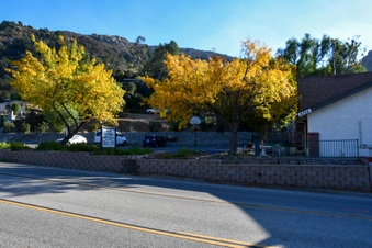 Enlarge photo 14