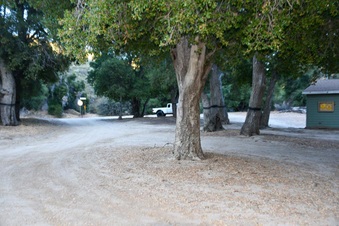 Enlarge photo 4