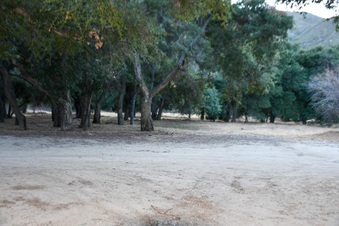Enlarge photo 14
