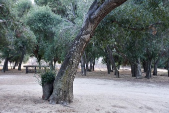 Enlarge photo 13