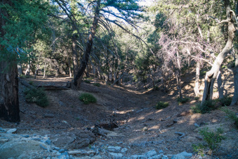 Enlarge photo 15