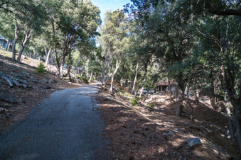 Enlarge photo 18