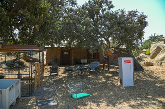 Enlarge photo 8