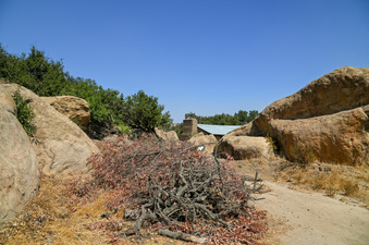 Enlarge photo 16