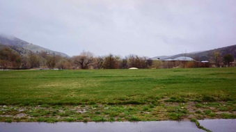 Enlarge photo 6