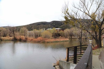 Enlarge photo 15