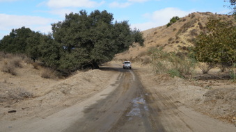 Enlarge photo 13