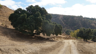 Enlarge photo 25