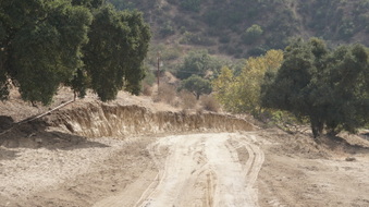 Enlarge photo 27