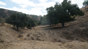 Enlarge photo 29