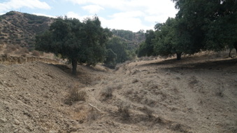 Enlarge photo 30