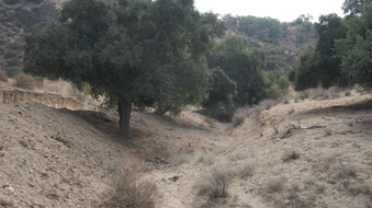 Enlarge photo 31
