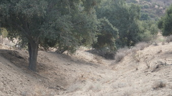 Enlarge photo 32
