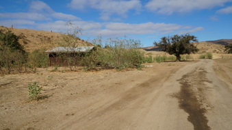 Enlarge photo 35