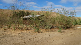Enlarge photo 34