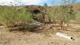 Enlarge photo 37