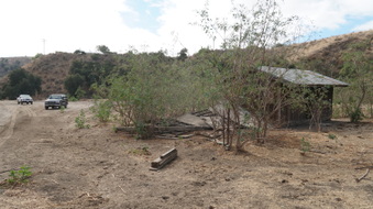 Enlarge photo 39