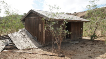 Enlarge photo 41