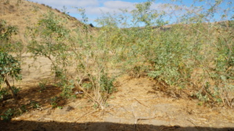 Enlarge photo 47